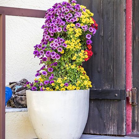 Hotel- Pension Oechsner Bad Reichenhall Luaran gambar