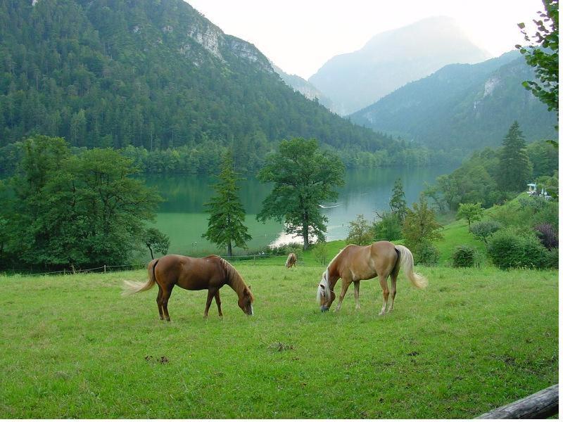 Hotel- Pension Oechsner Bad Reichenhall Luaran gambar