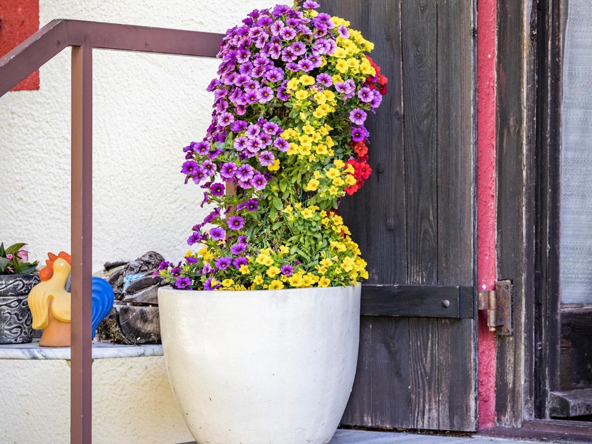 Hotel- Pension Oechsner Bad Reichenhall Luaran gambar